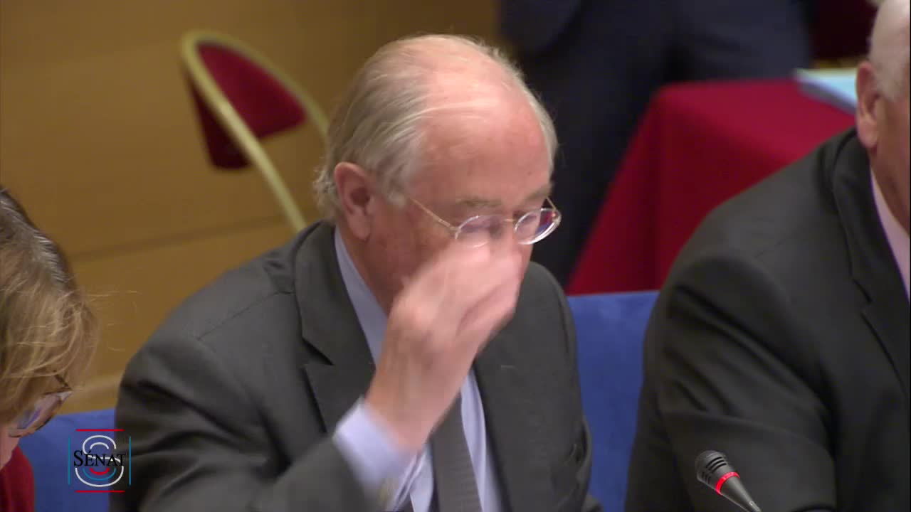 Audition de Mme Nathalie Loiseau, ministre déléguée aux affaires européennes