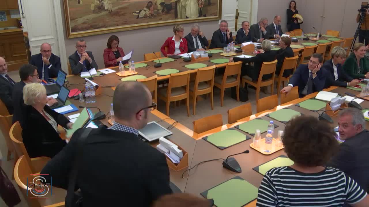 PLF 2019 - Audition de Mme Roxana Maracineanu, ministre des sports