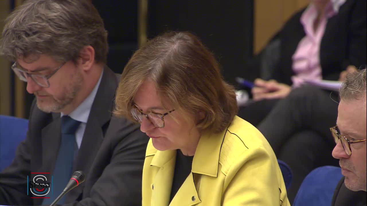 Audition de Mme Nathalie Loiseau, ministre chargée des Affaires européennes