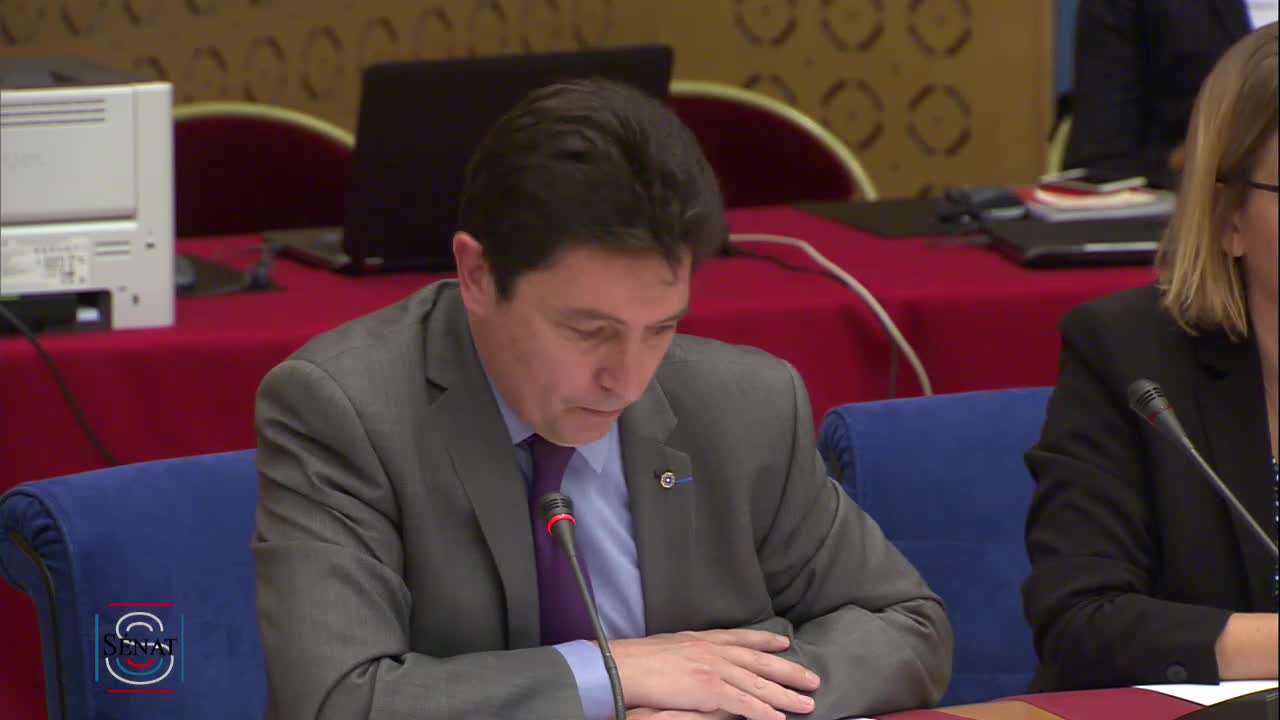 Audition de Mme Nathalie Loiseau, ministre chargée des Affaires européennes