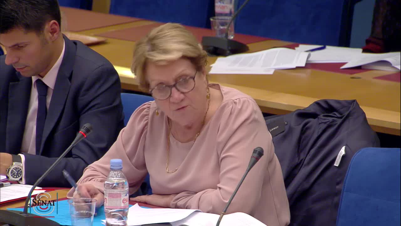 Audition de Mme Nathalie Loiseau, ministre chargée des Affaires européennes