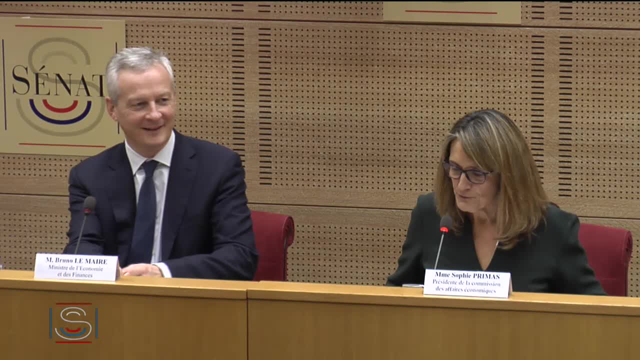 PLF pour 2019 - Audition de M. Bruno Le Maire, ministre de l'Economie et des finances