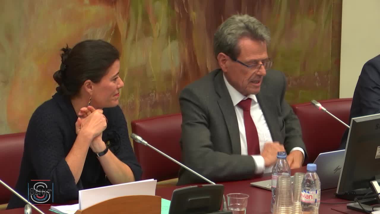PLFSS 2019 - Audition de M. Nicolas Revel, directeur général de la CNAM