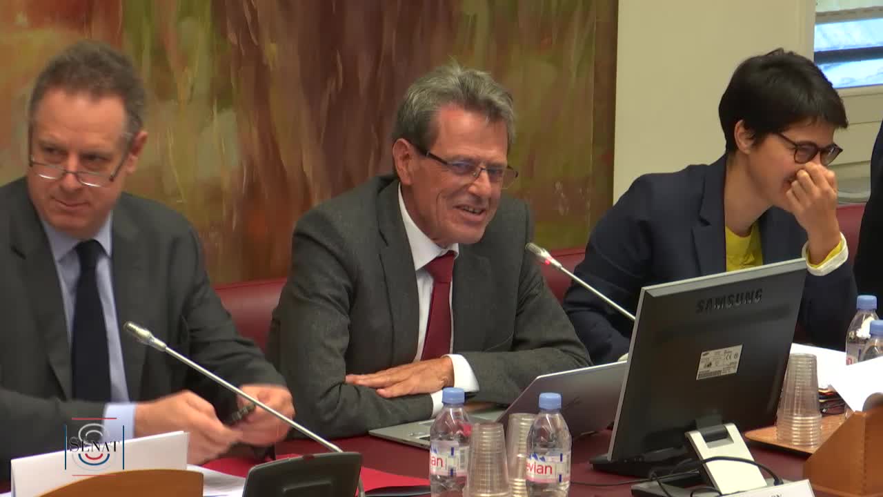 PLFSS 2019 - Audition de M. Nicolas Revel, directeur général de la CNAM