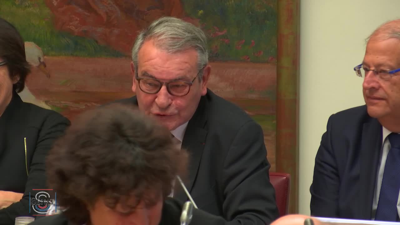 PLFSS 2019 - Audition de M. Nicolas Revel, directeur général de la CNAM