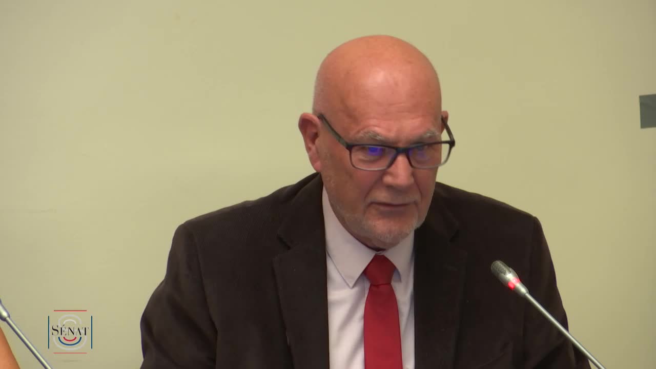 PLFSS 2019 - Audition de M. Nicolas Revel, directeur général de la CNAM