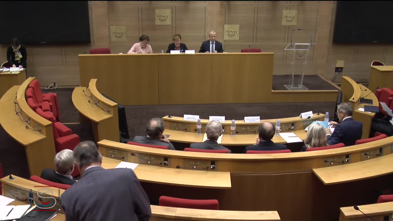 Table ronde avec MM. Pierre Cahuc, Christian Saint-Etienne et Jean-Hervé Lorenzi