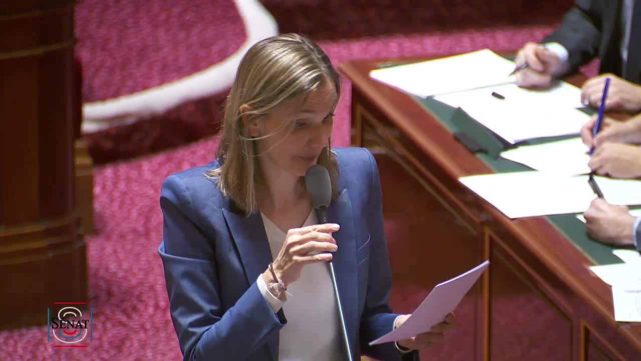 Séance publique du 8 novembre 2018 (après-midi)
