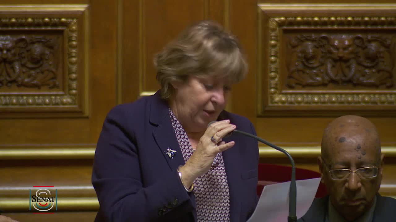 Séance publique du 8 novembre 2018 (après-midi)