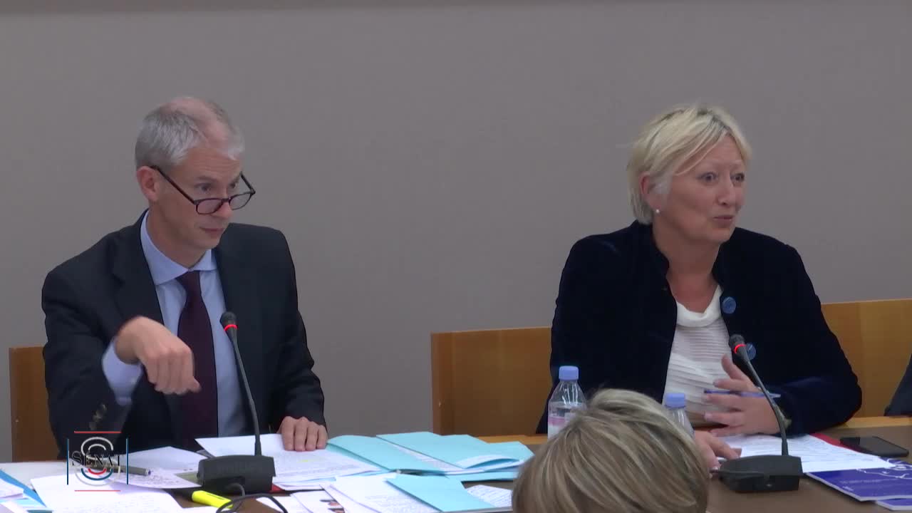 PLF 2019 - Audition de M. Franck Riester, ministre