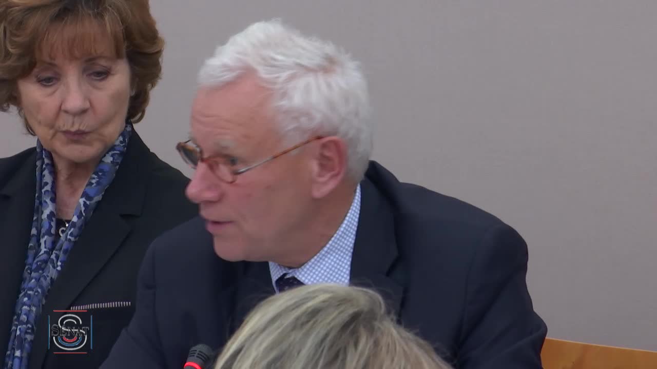 PLF 2019 - Audition de M. Franck Riester, ministre