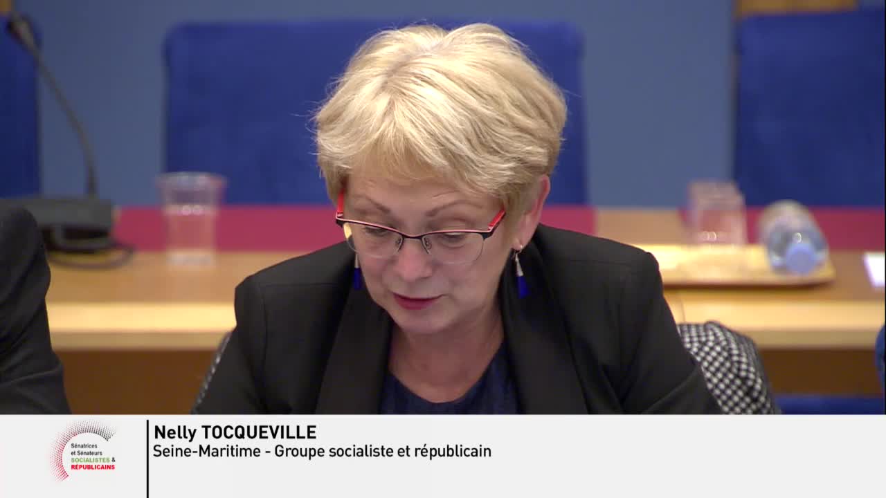 PLF 2019 - Audition de Mme Elisabeth Borne, ministre