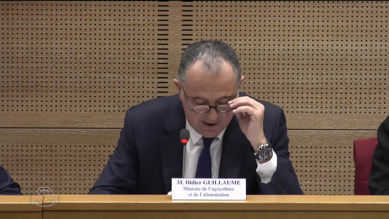 PLF 2019 - Audition M. Didier Guillaume, ministre