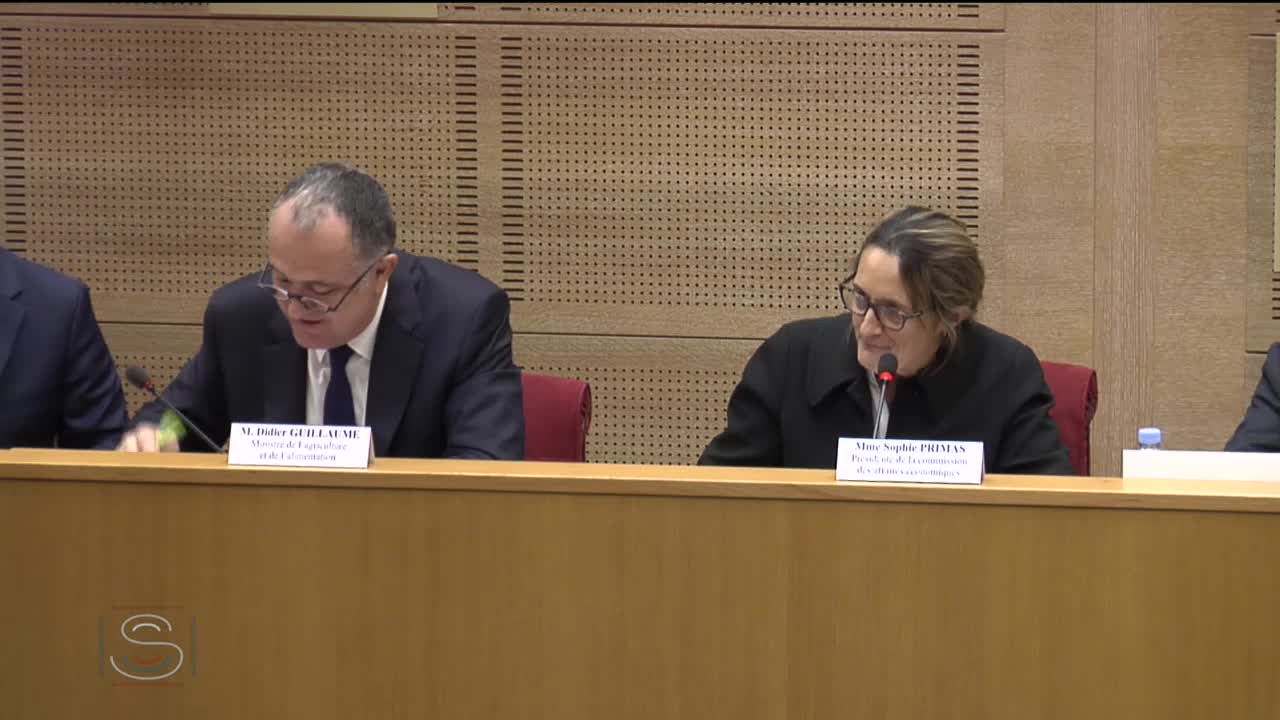 PLF 2019 - Audition M. Didier Guillaume, ministre