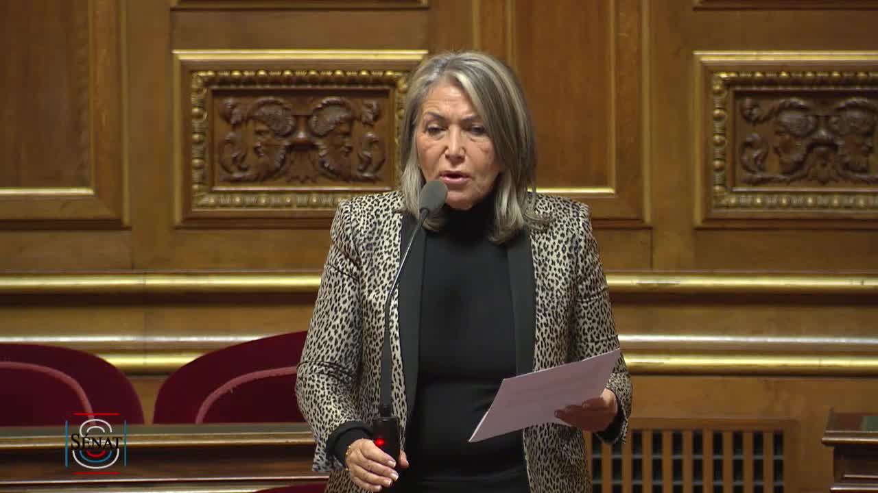 Séance publique du 20 novembre 2018 (matin)