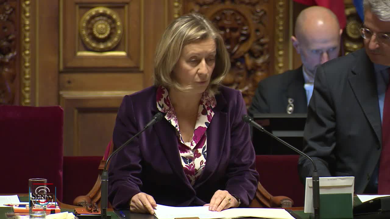 Séance publique du 20 novembre 2018 (après-midi)