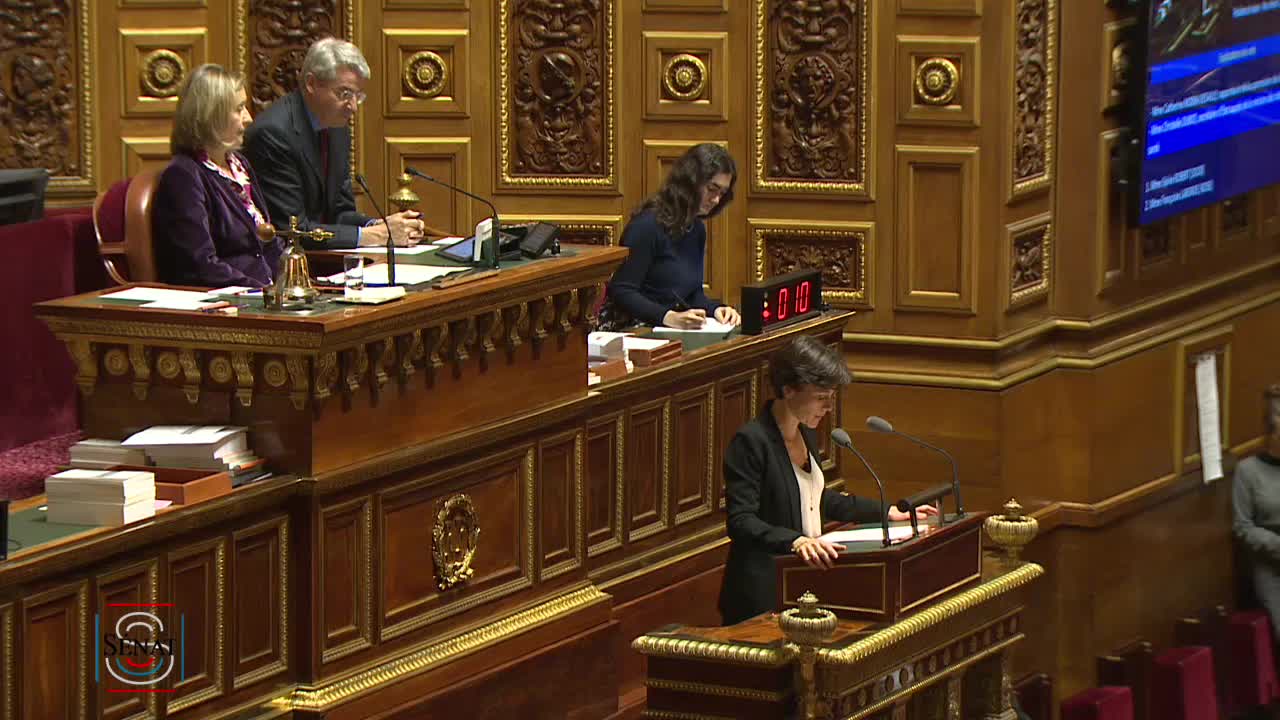 Séance publique du 20 novembre 2018 (après-midi)