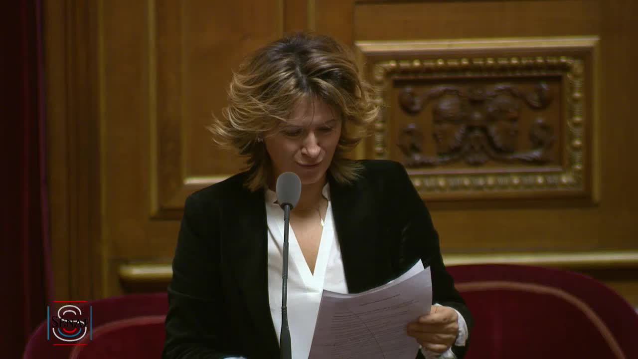 Séance publique du 20 novembre 2018 (soir)