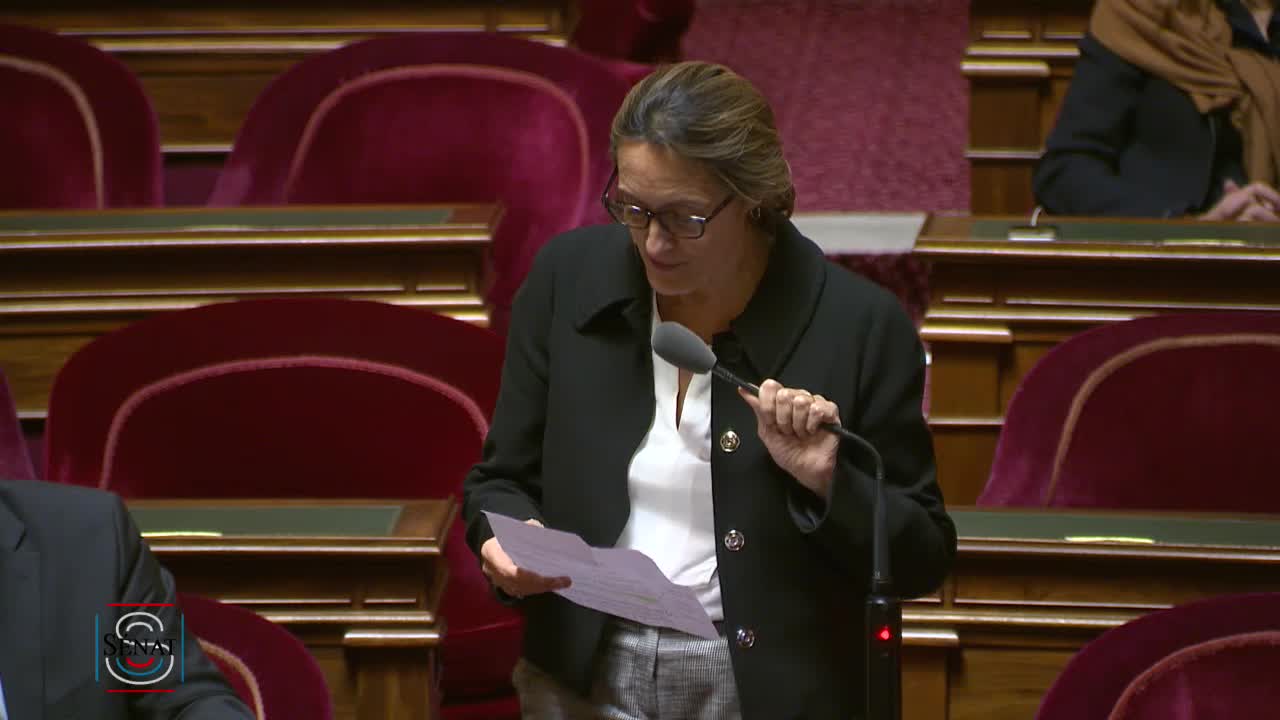 Séance publique du 20 novembre 2018 (soir)