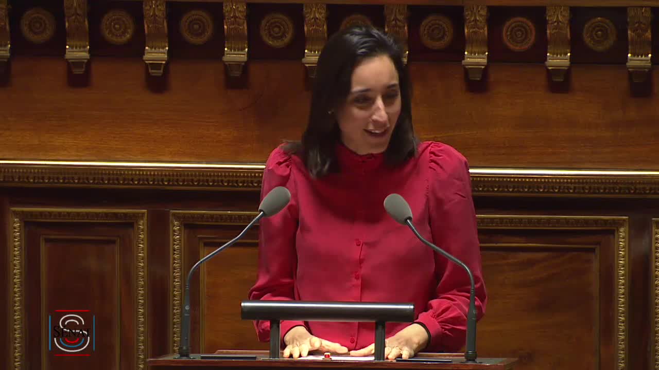 Séance publique du 21 novembre 2018 (soir)