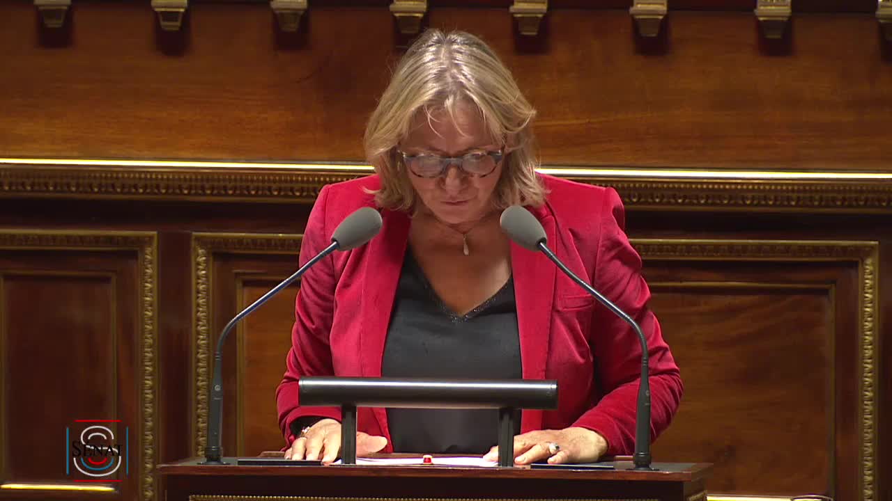 Séance publique du 21 novembre 2018 (soir)