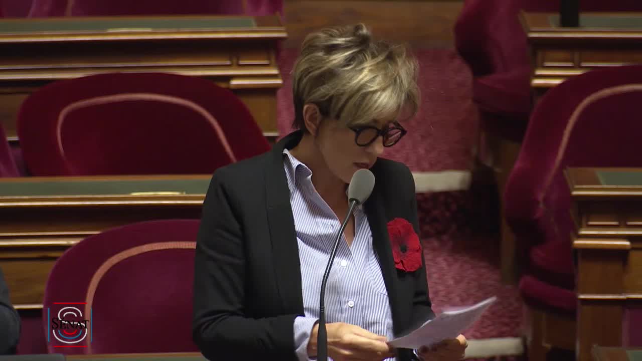 Séance publique du 21 novembre 2018 (soir)