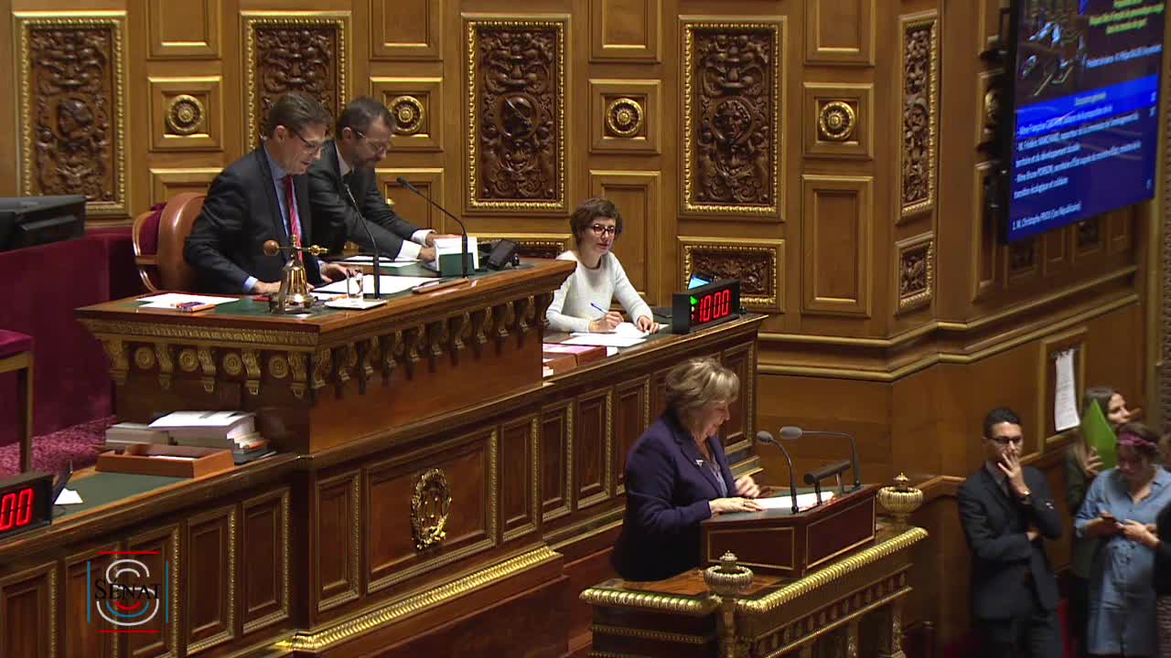 Séance publique du 21 novembre 2018 (soir)