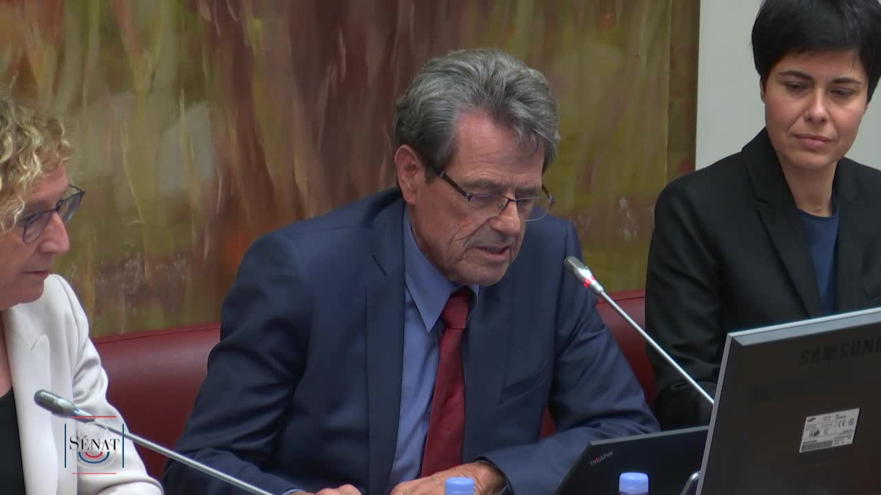 PLF 2019 - Audition de Mme Muriel Pénicaud, ministre du travail