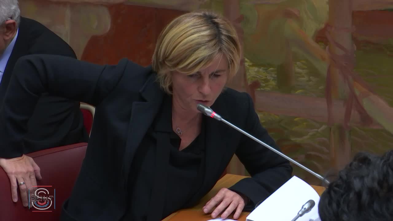 PLF 2019 - Audition de Mme Muriel Pénicaud, ministre du travail