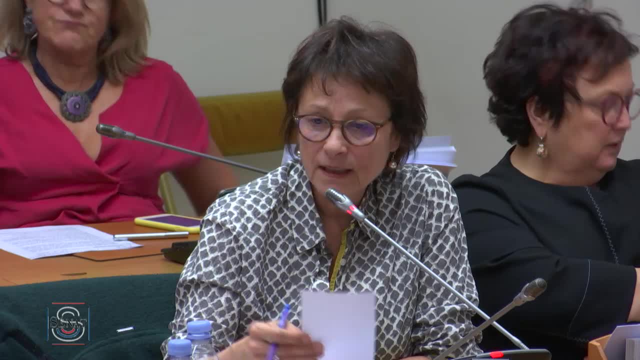 PLF 2019 - Audition de Mme Muriel Pénicaud, ministre du travail
