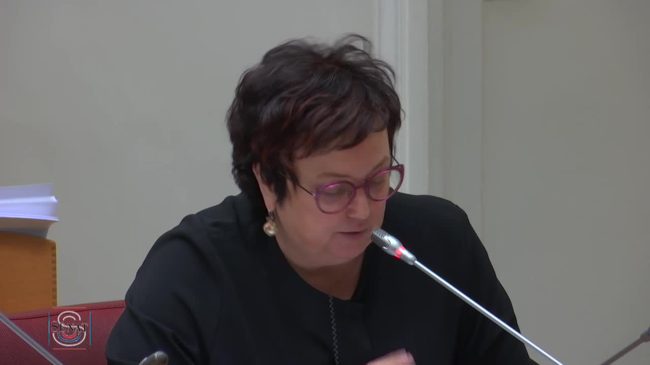 PLF 2019 - Audition de Mme Muriel Pénicaud, ministre du travail