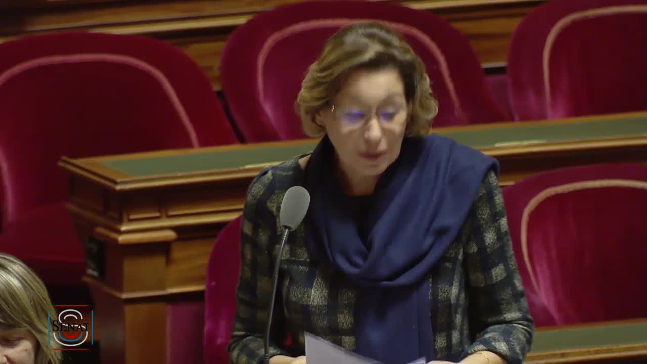 Séance publique du 28 novembre 2018 (après-midi)