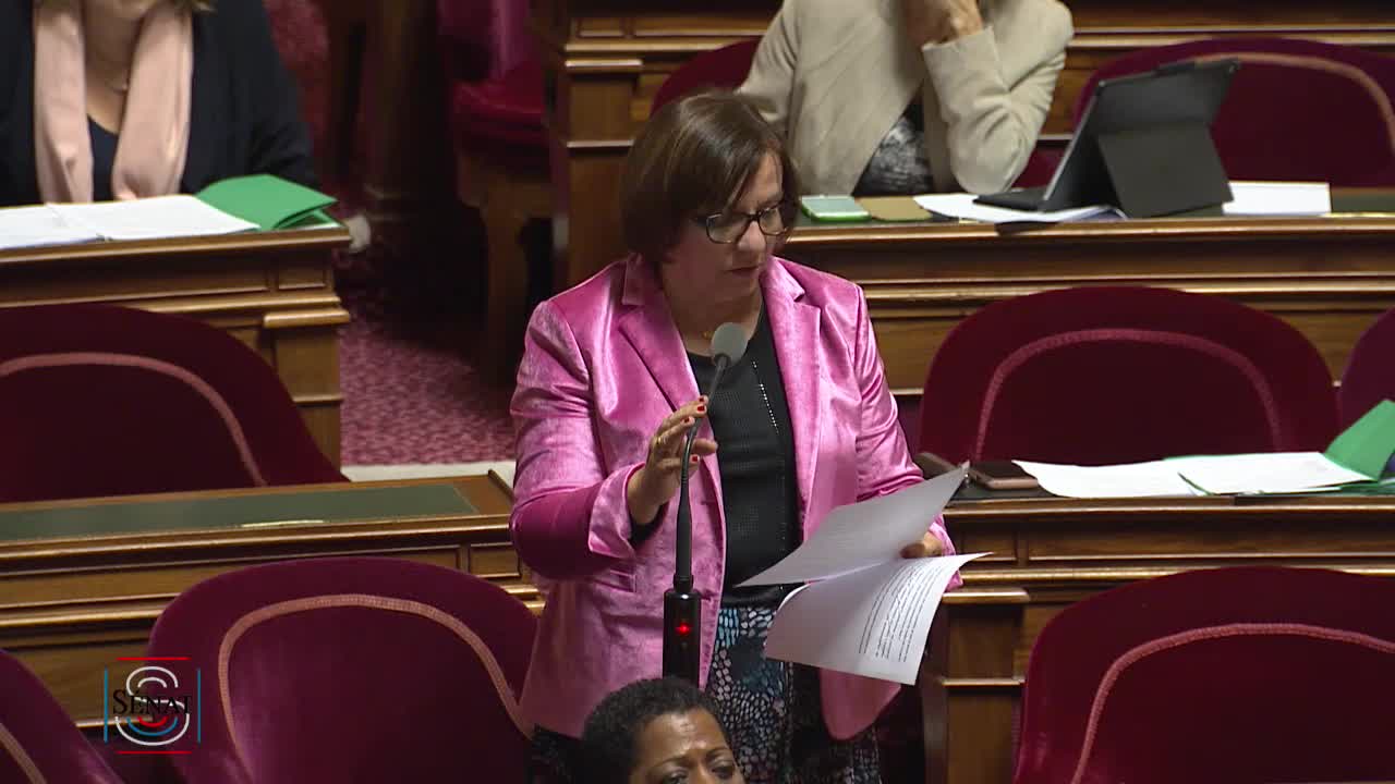 Séance publique du 4 décembre 2018 (soir)