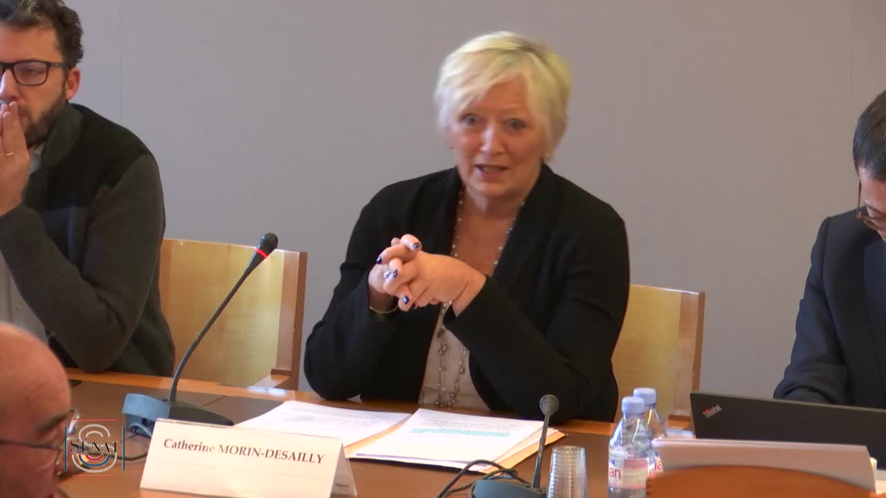 Violence dans les établissements scolaires - Audition de M. Benjamin Moignard, universitaire