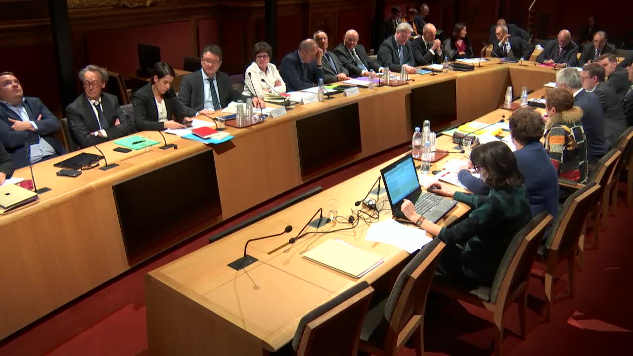 Audition de M. Bruno Le Maire, ministre de l'Economie et des finances