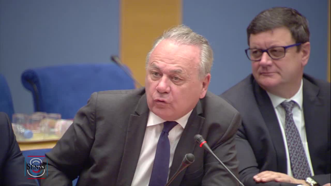 Audition de M. Pierre MOSCOVICI, commissaire européen