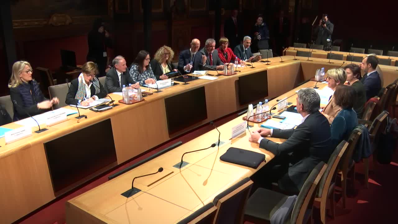 Audition de Mme Roxana Maracineanu, ministre des Sports