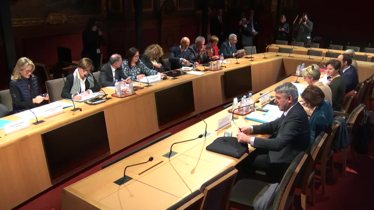 Audition de Mme Roxana Maracineanu, ministre des Sports