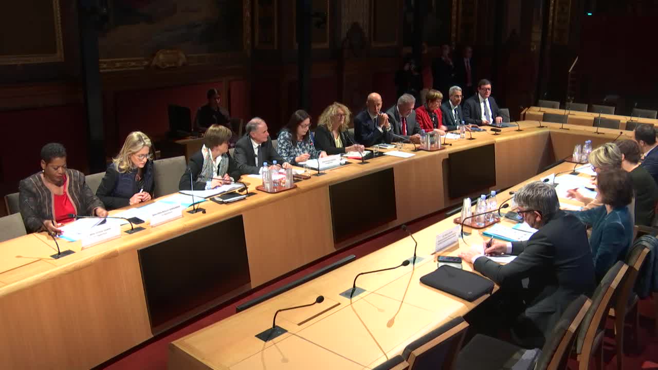 Audition de Mme Roxana Maracineanu, ministre des Sports