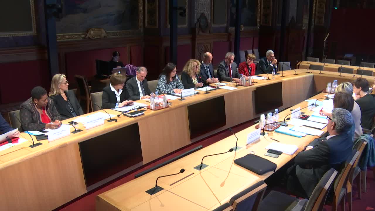 Audition de Mme Roxana Maracineanu, ministre des Sports