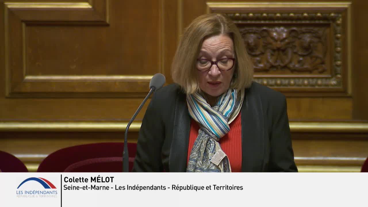 Séance publique du 17 décembre 2018 (après-midi)