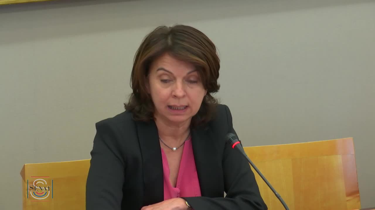JO 2024- Audition de MM. Jean Castex, Nicolas Ferrand et Claude Onesta