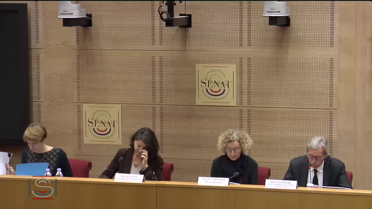 Audition de Mme Agnès Buzyn, ministre des solidarités et de la santé, et de Mme Muriel Pénicaud, ministre du travail, sur le projet de loi portant mesures d'urgence économiques et sociales, sous réserve de son dépôt