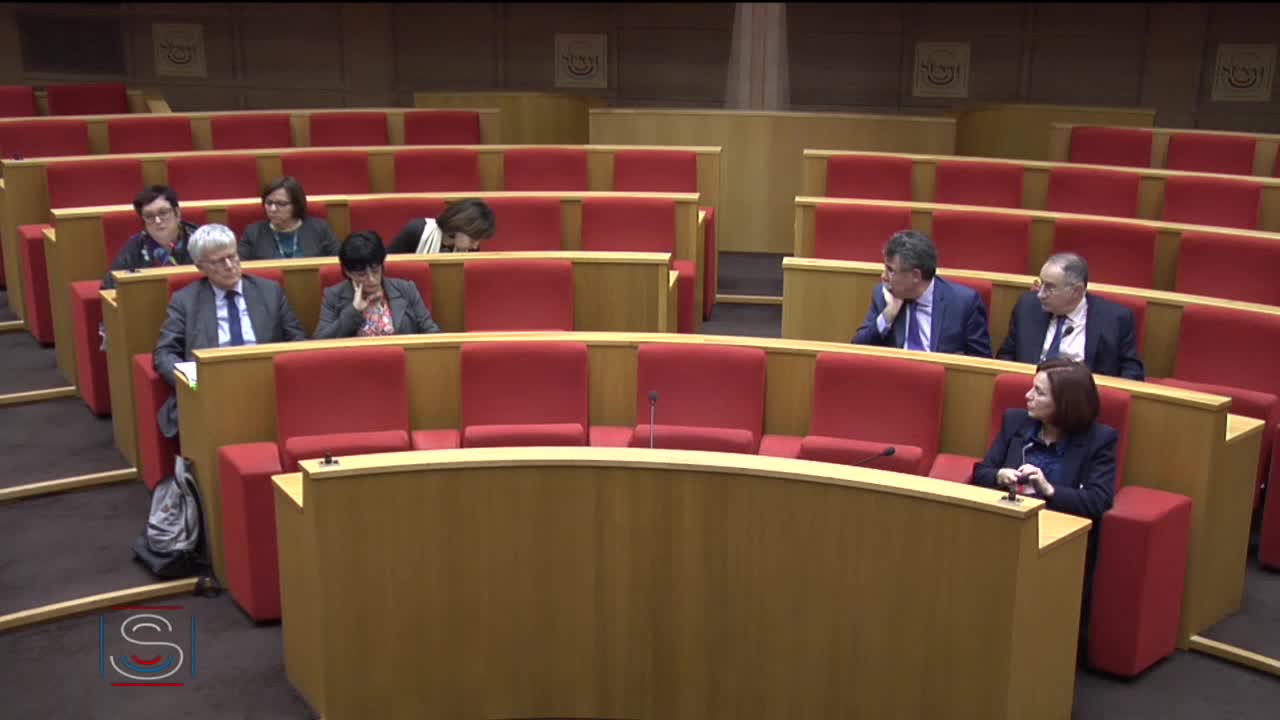 Audition de Mme Agnès Buzyn, ministre des solidarités et de la santé, et de Mme Muriel Pénicaud, ministre du travail, sur le projet de loi portant mesures d'urgence économiques et sociales, sous réserve de son dépôt