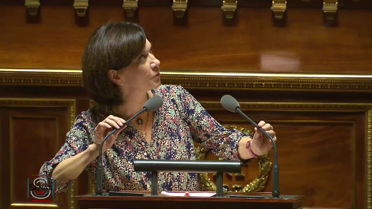Séance publique du 21 décembre 2018 (après-midi)