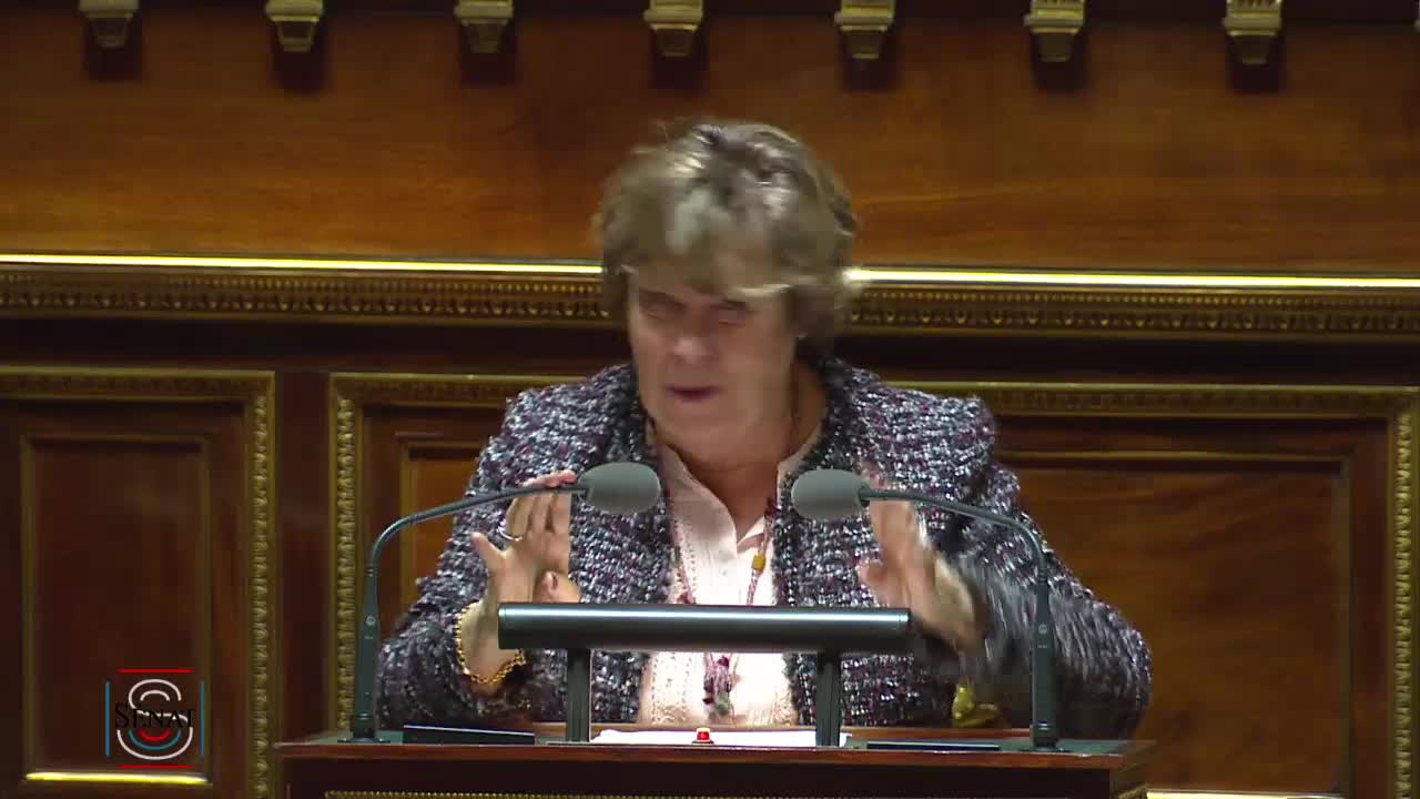Séance publique du 15 janvier 2019 (après-midi)