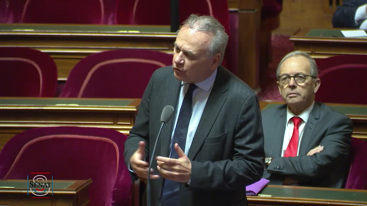 Séance publique du 15 janvier 2019 (après-midi)