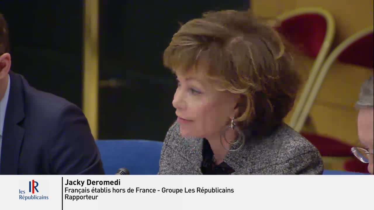 PPL Instances représentatives des Français de l'étranger - PPLO élections à l'étranger - Examen rapport et textes commission