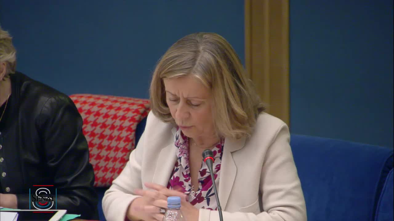 PPL Instances représentatives des Français de l'étranger - PPLO élections à l'étranger - Examen rapport et textes commission