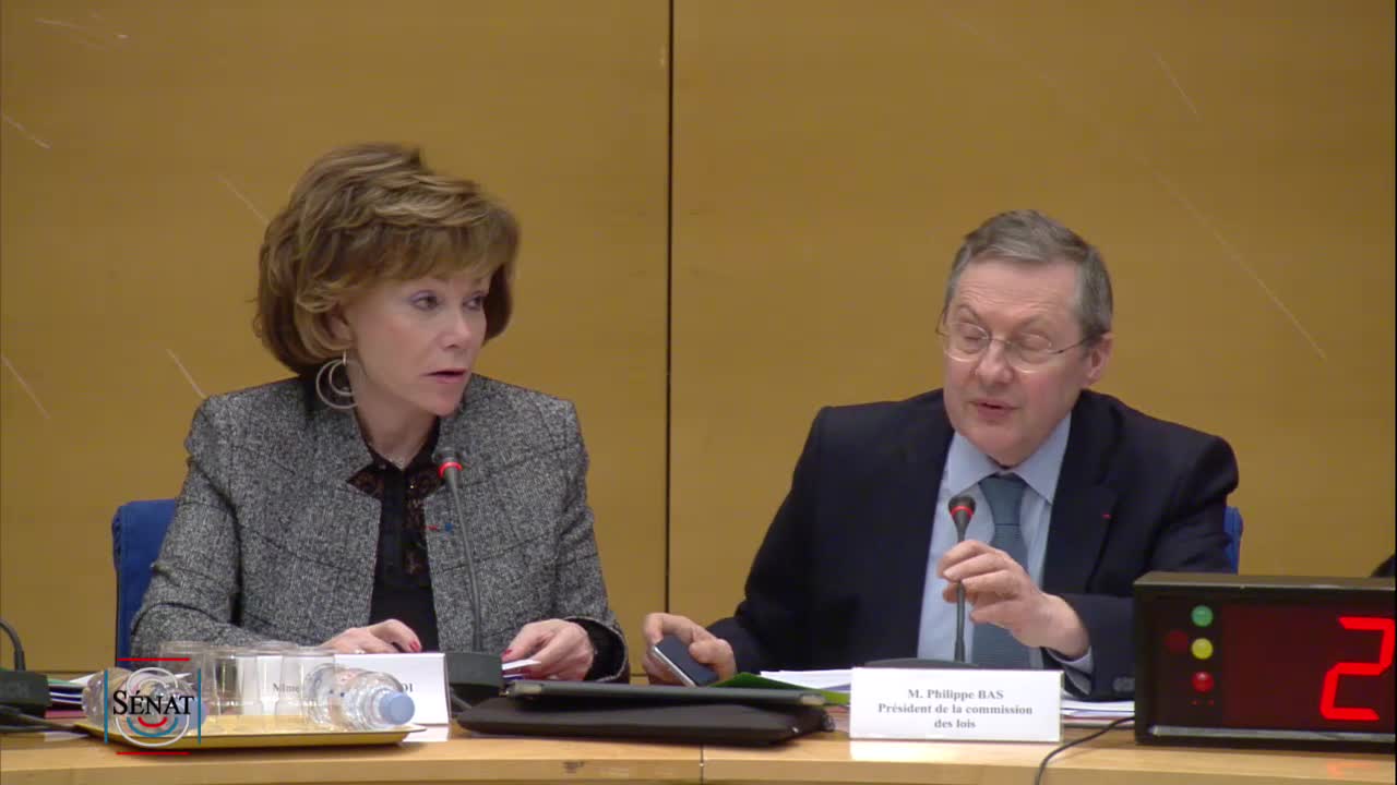 PPL Instances représentatives des Français de l'étranger - PPLO élections à l'étranger - Examen rapport et textes commission